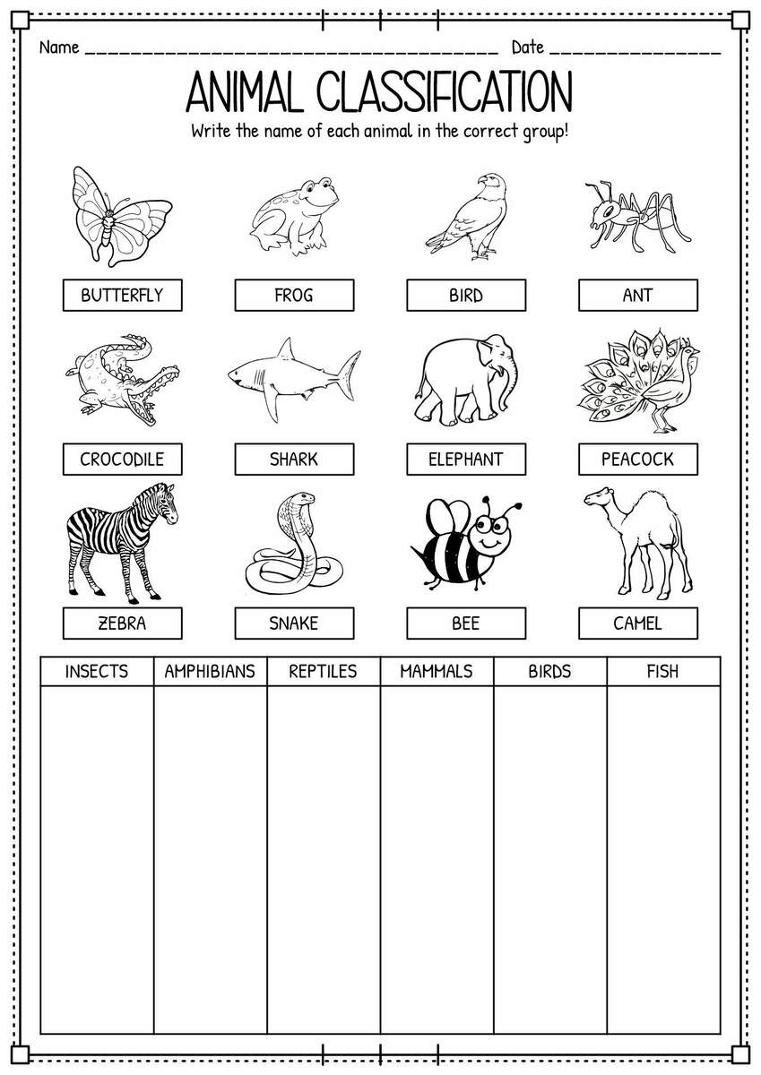 15 Engaging Animal Classification Worksheets For Preschoolers