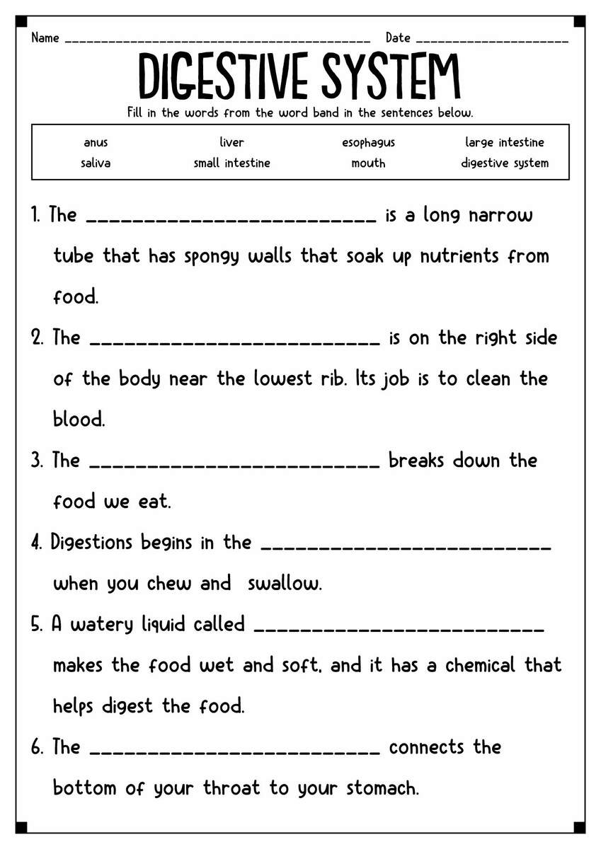 15 Simple Circuit Worksheets 4th Grade Free PDF At Worksheeto