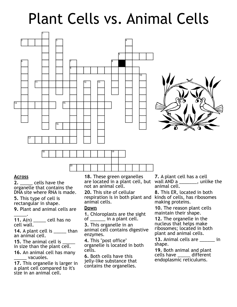 Animal And Plant Cells Worksheet WordMint Animal And Plant Cells Worksheet WordMint