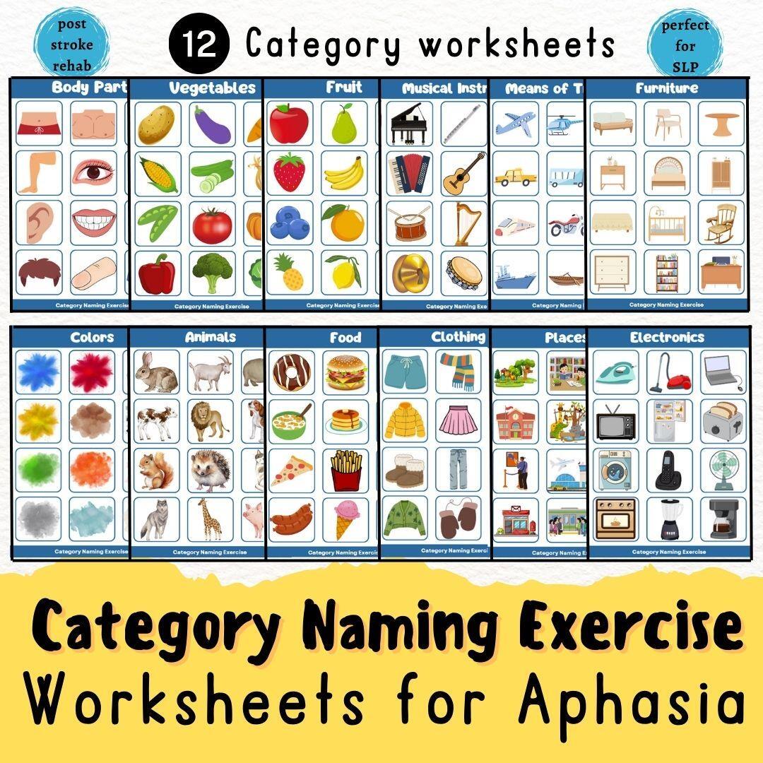 Aphasia Printable Post Stroke Rehabilitation Categorizing Worksheets Head Injury Speech Therapy Tool SLP Dementia Caregiver Recourse Etsy
