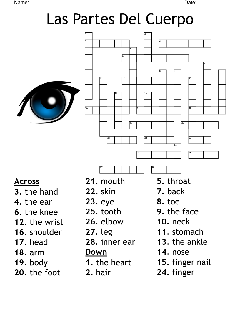 Body Parts In Spanish Crossword WordMint