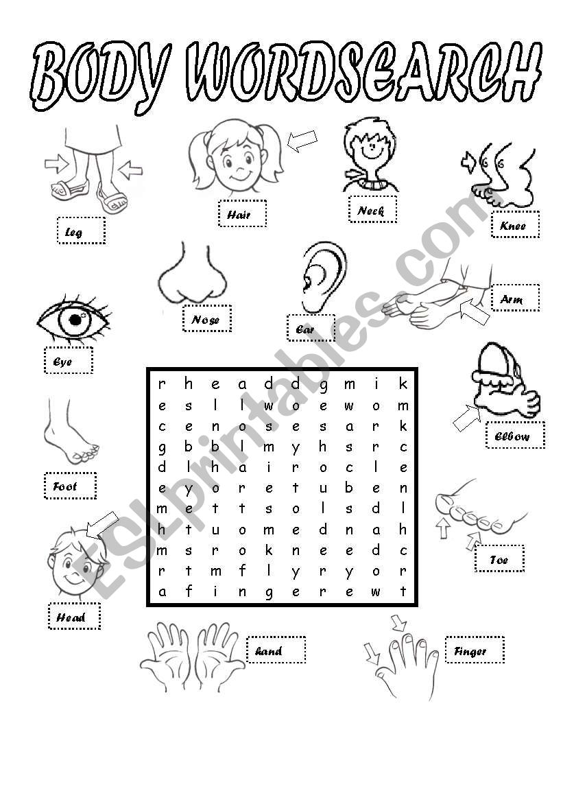 BODY WORDSEARCH ESL Worksheet By Maalpo BODY WORDSEARCH ESL Worksheet By Maalpo
