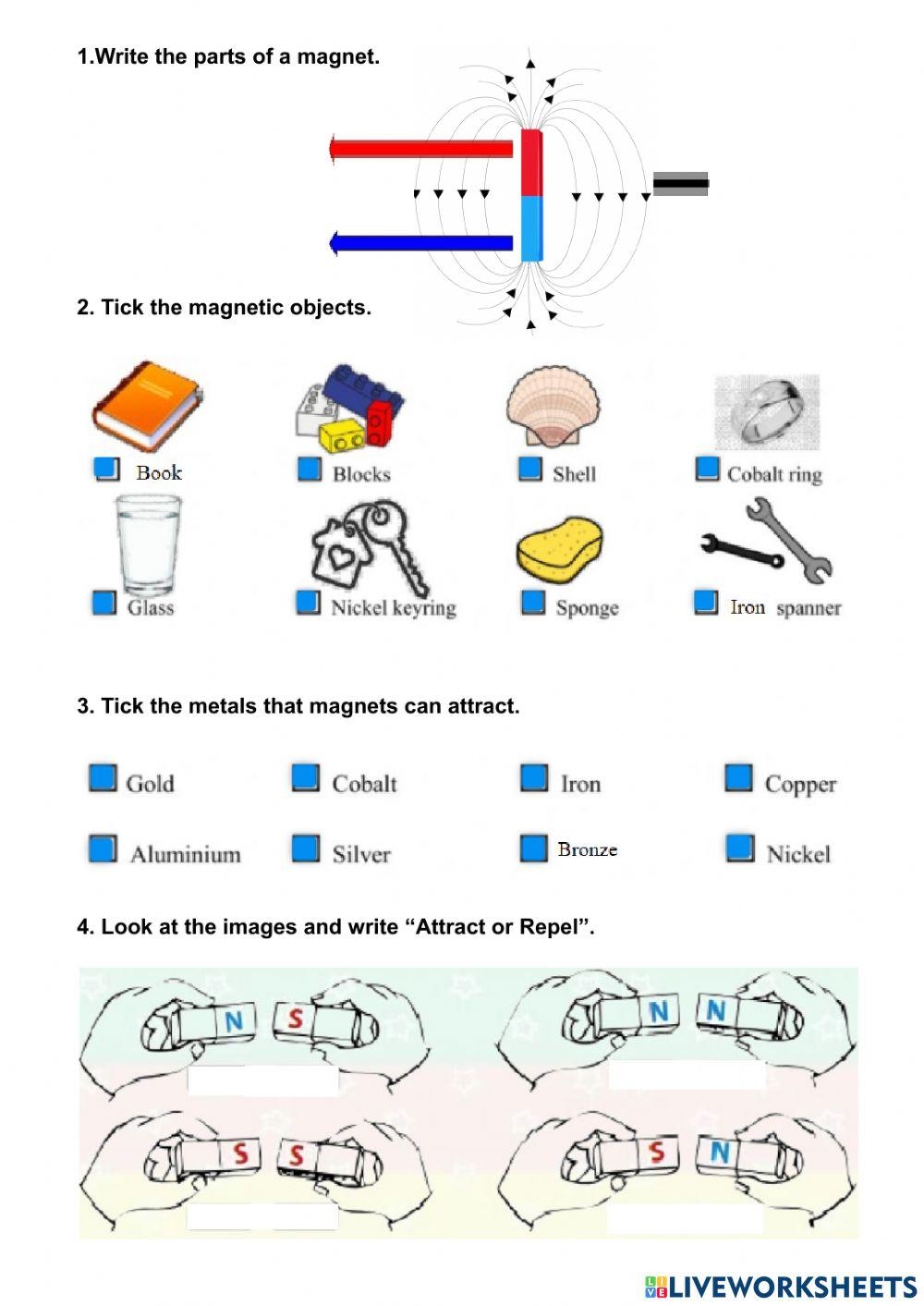 Buy Magnet Worksheets 4th Grade 2026 My Compass And Magnet Observations Printable 2nd 4th Grade
