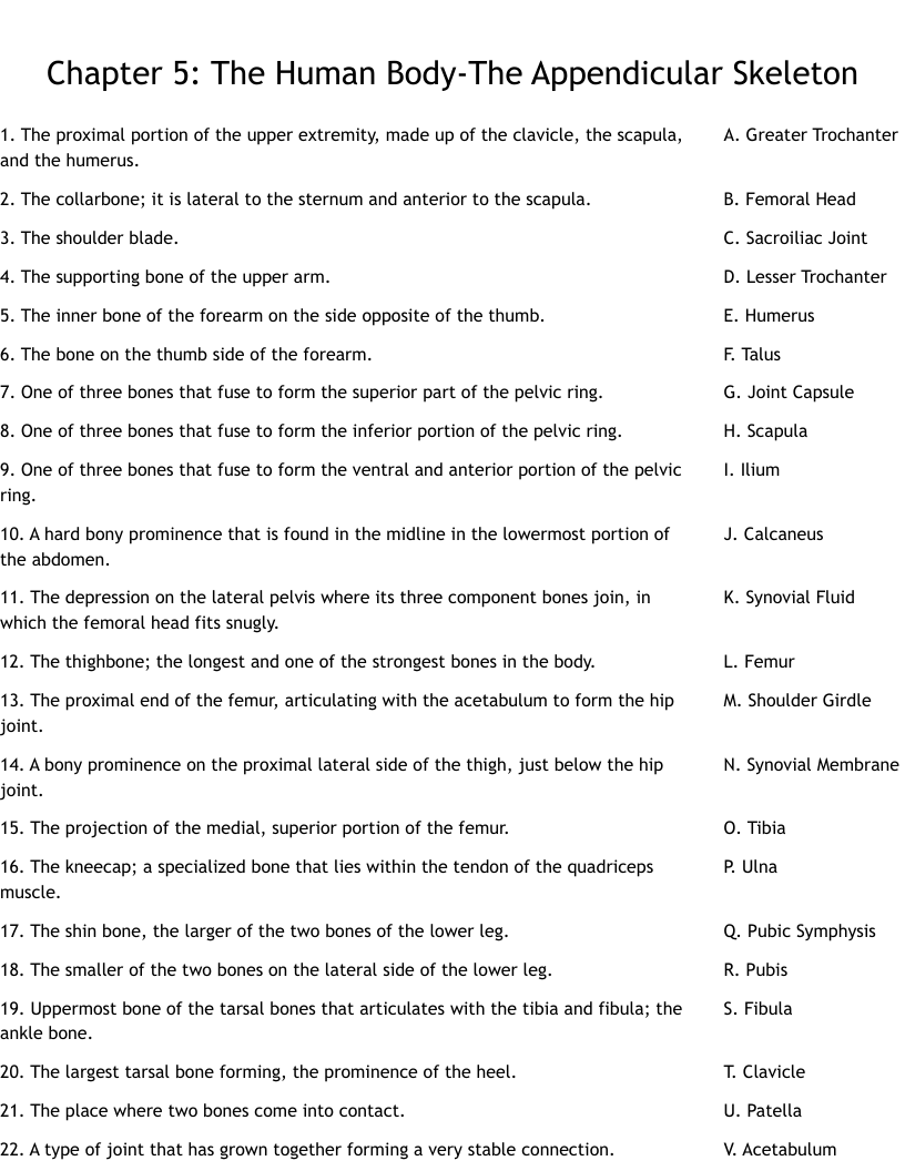 Chapter 5 The Human Body The Appendicular Skeleton Worksheet WordMint