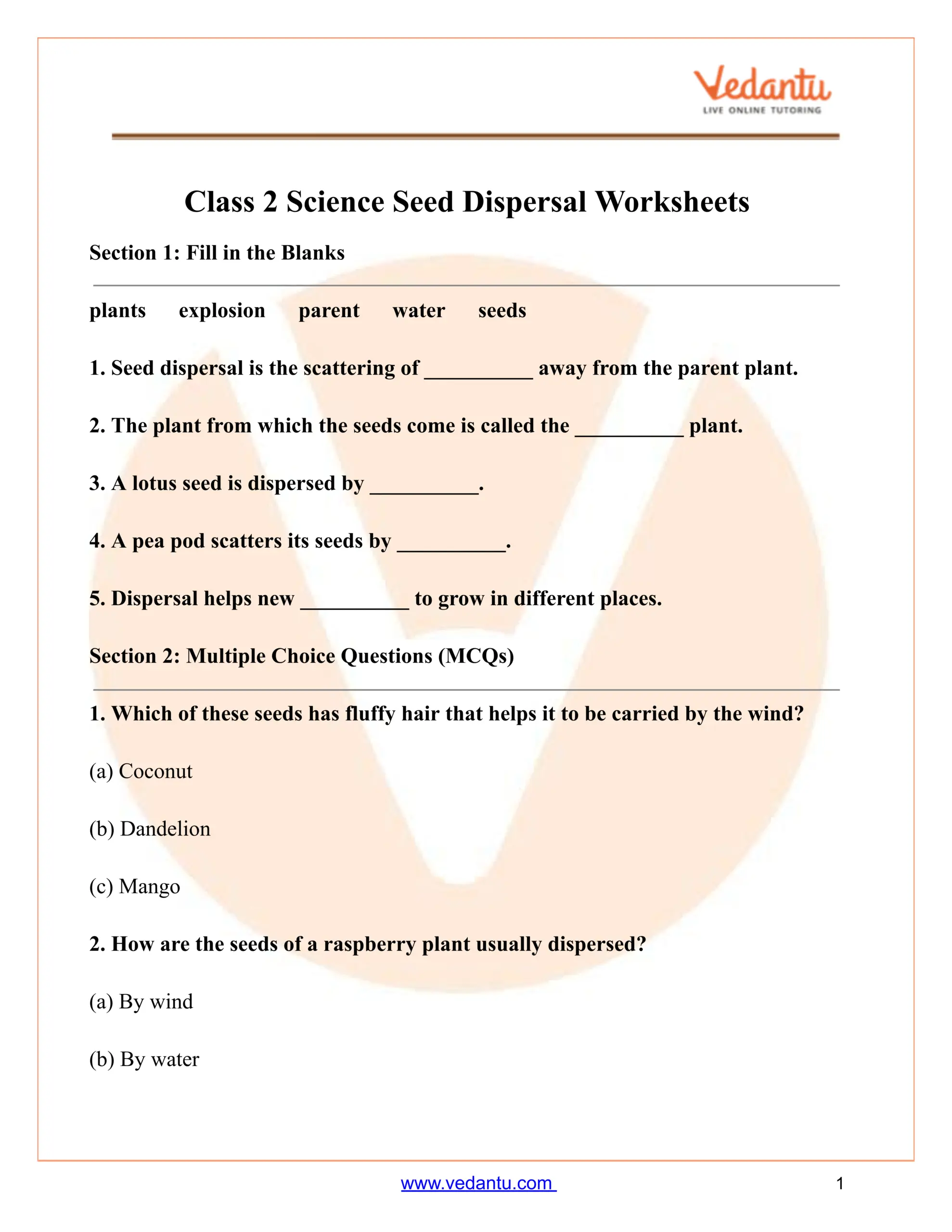 Class 2 Science Seed Dispersal Worksheet PDF Free Practice Answers