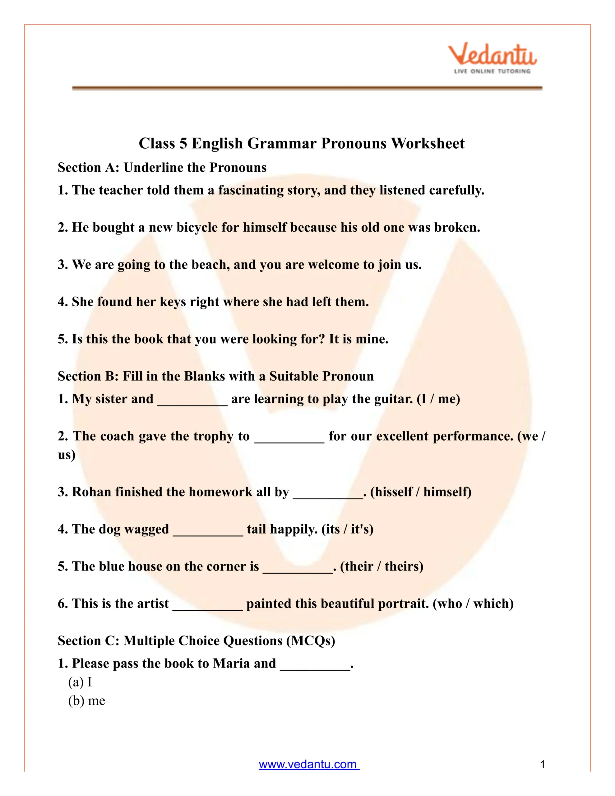 Class 5 English Grammar Pronouns Worksheet With Answers PDF
