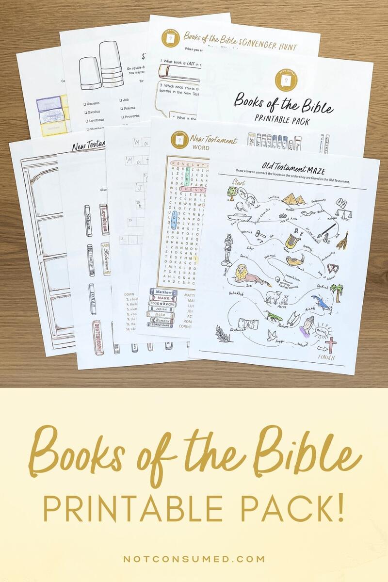 Books Of The Bible Flashcards Superstar Worksheets