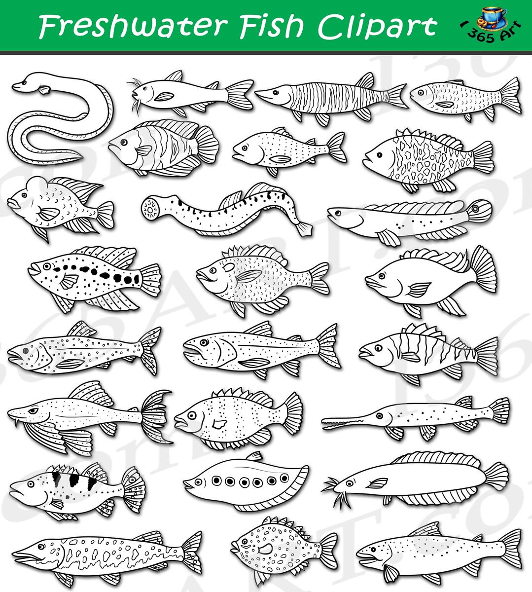 Freshwater Fish Clipart Set Download Clipart 4 School Freshwater Fish Clipart Set Download Clipart 4 School