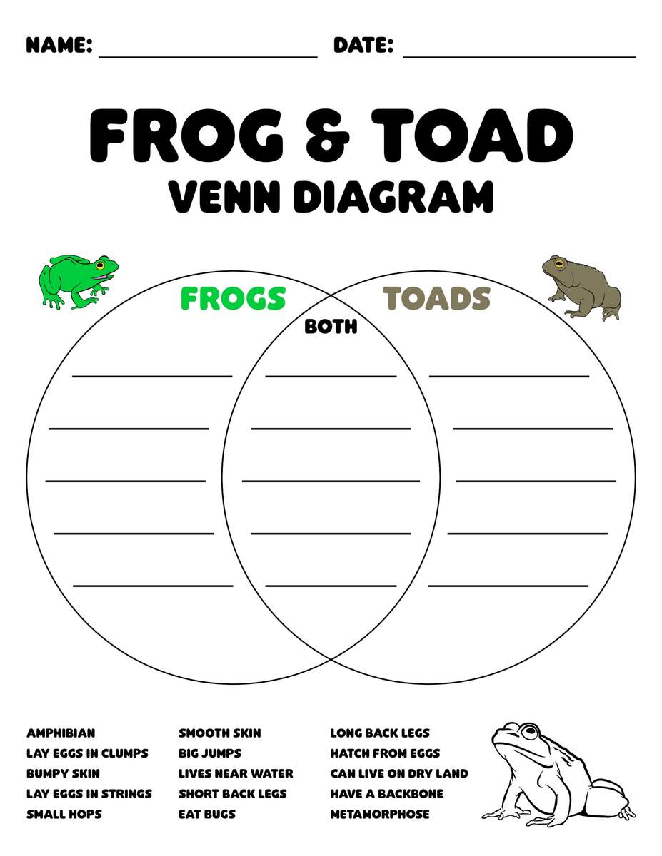Frog Vs Toad Venn Diagrams For Kids Teens Mr Amphibian Frog Vs Toad Venn Diagrams For Kids Teens Mr Amphibian