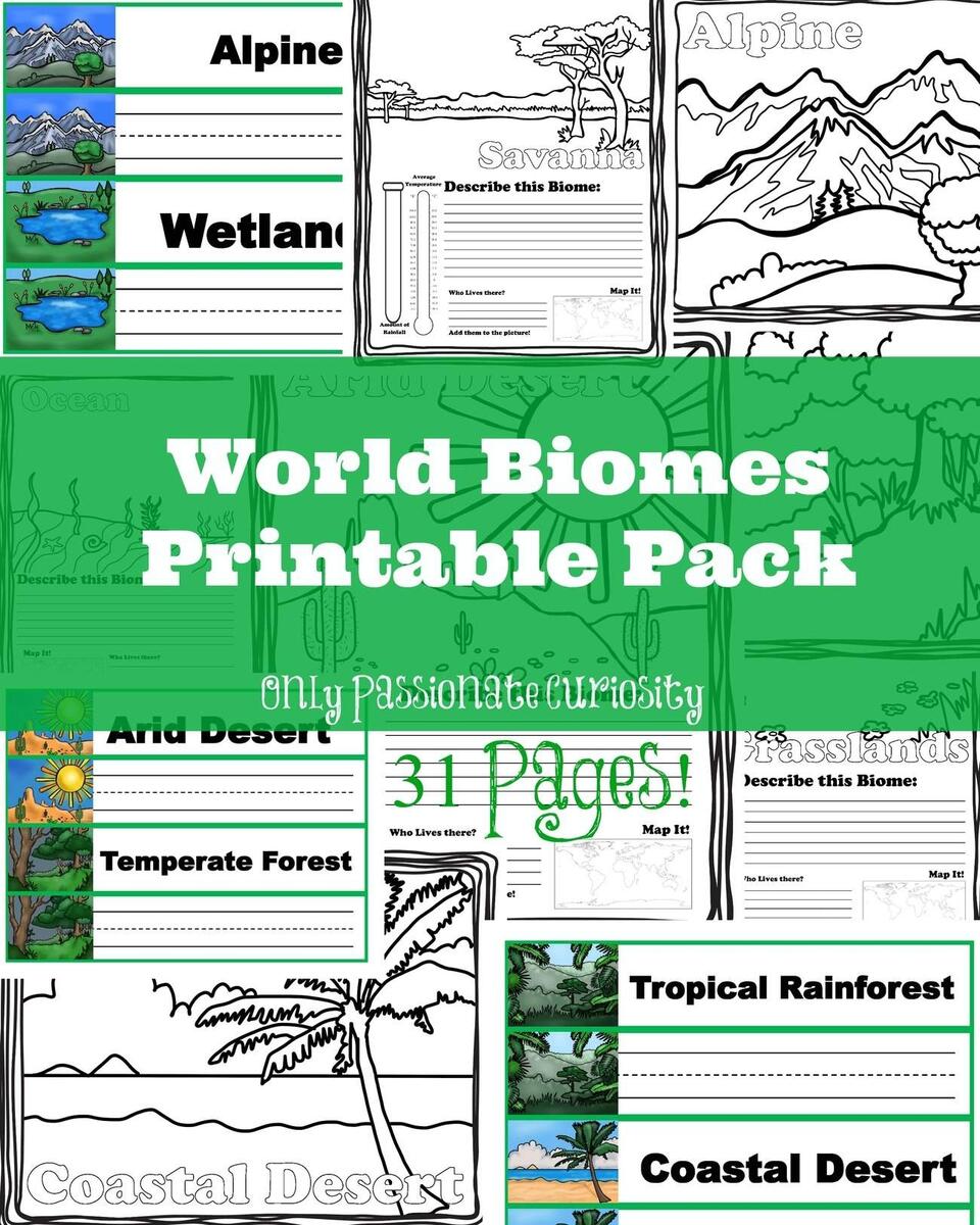 Biomes Social Studies Science Reading Comprehension Passages K 2 Made By Teachers