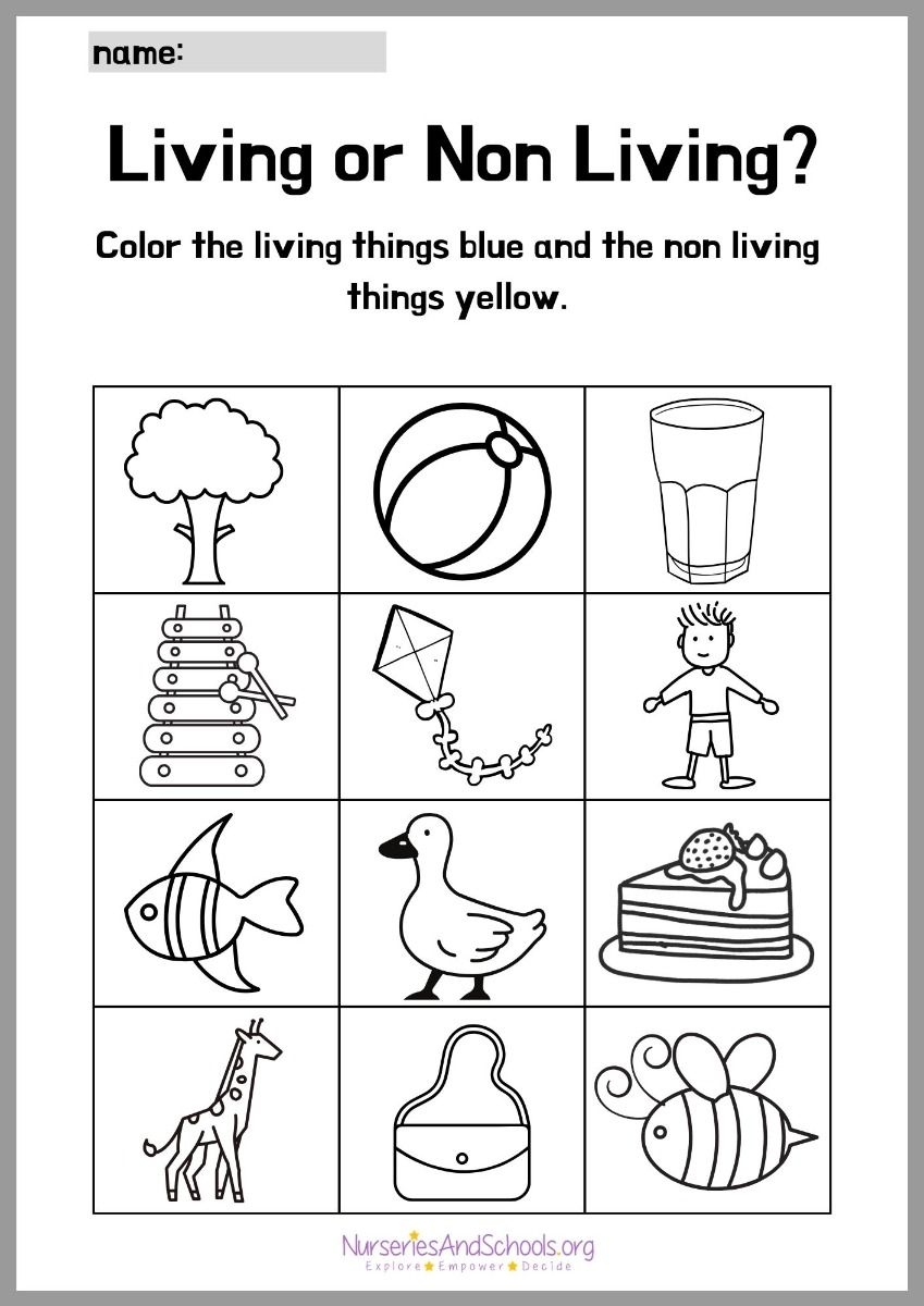 Living And Non Living Things Coloring Worksheet Living And Non Living Things Exercise For 1st Grade