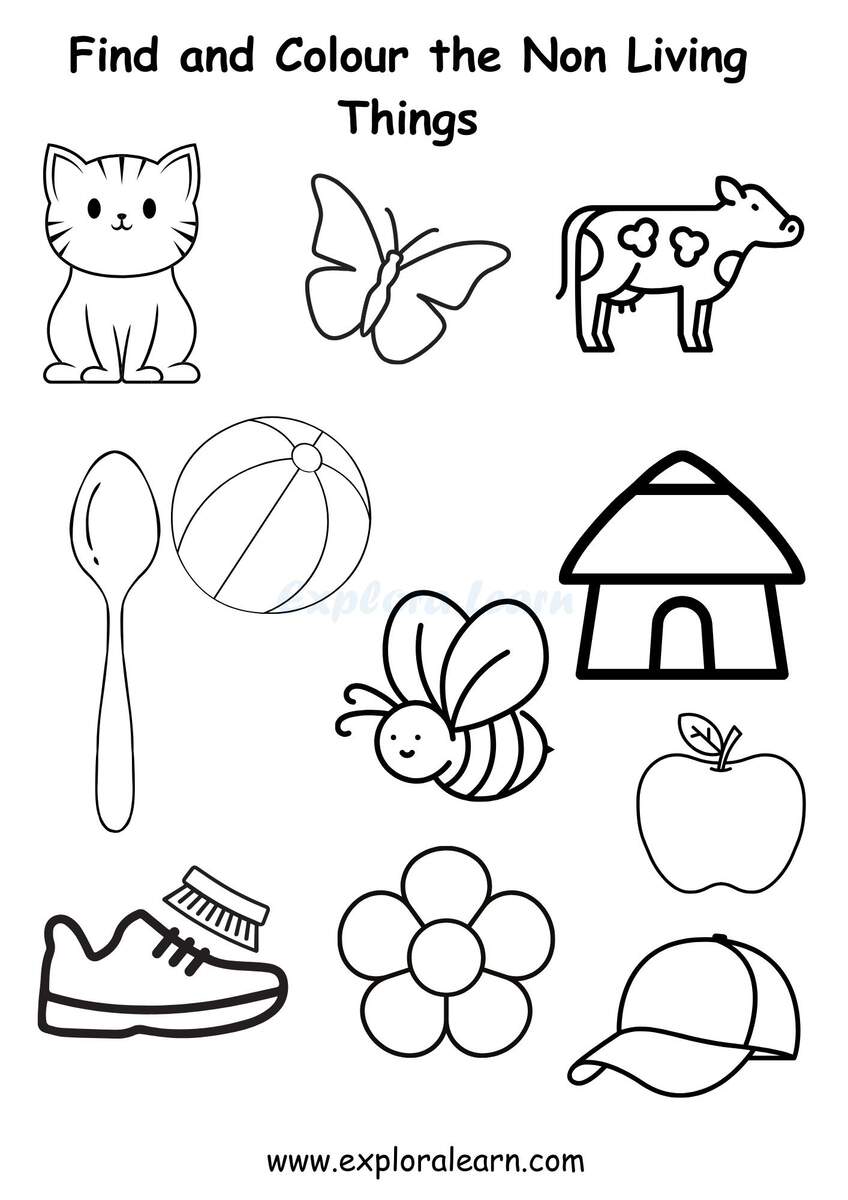 Living Non Living Worksheets For Preschool And Kindergarten 2 To 6 Years Kids Living Non Living Worksheets For Preschool And Kindergarten 2 To 6 Years Kids