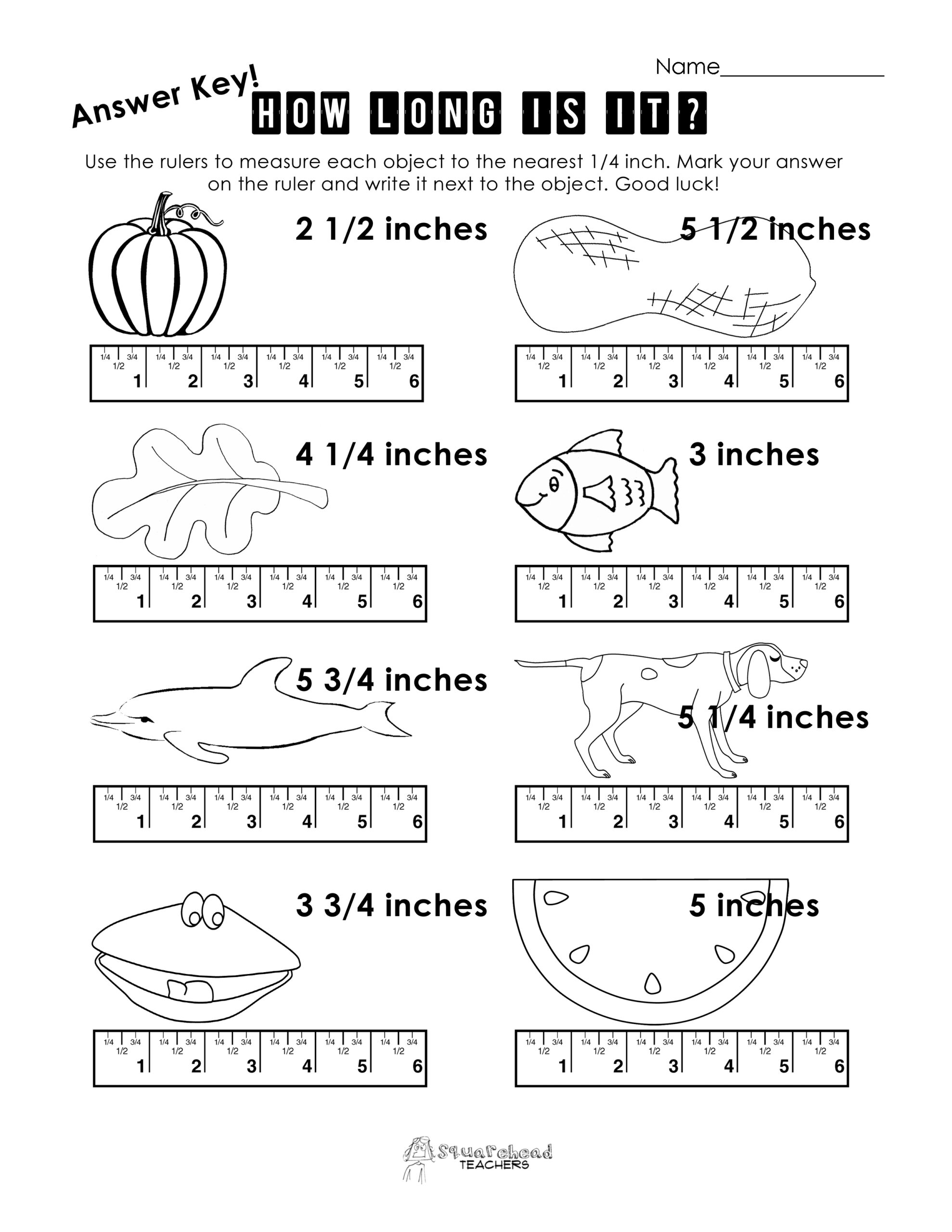 Measurement Squarehead Teachers