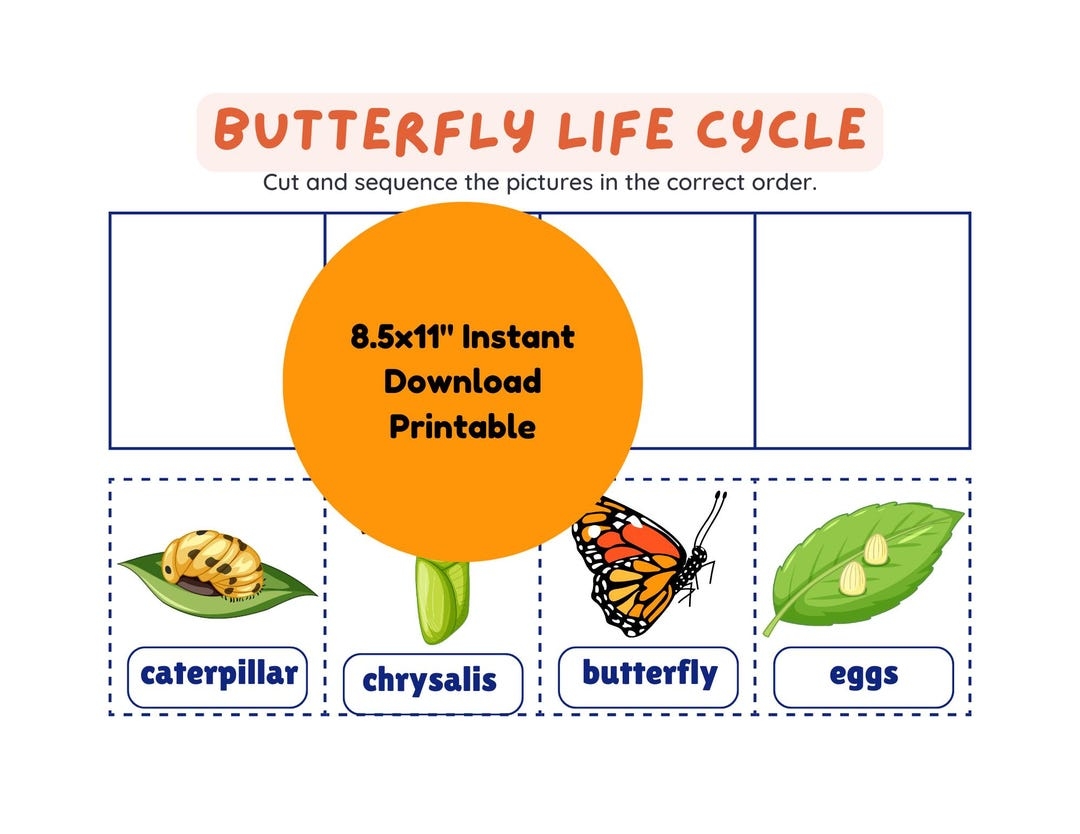 Monarch Butterfly Life Cycle Worksheet Kids Garden Printable STEM Learning Activity Instant Download For Homeschool Classroom Etsy