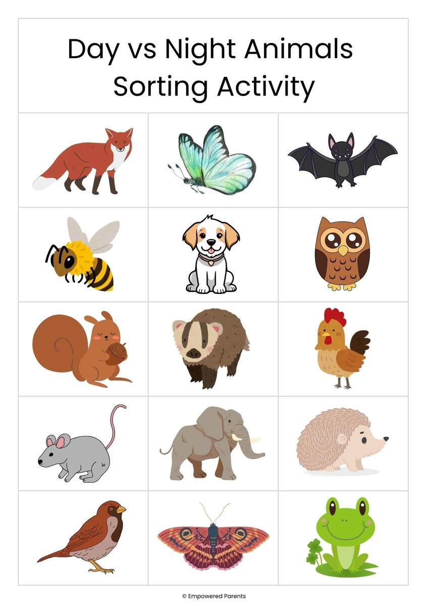 Nocturnal Animals Theme Activities For Preschool And Kindergarten Empowered Parents Nocturnal Animals Theme Activities For Preschool And Kindergarten Empowered Parents