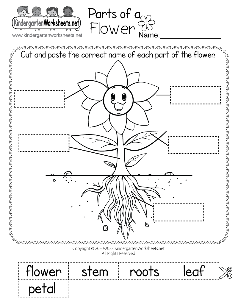 Parts Of A Flower Worksheet Free Printable Digital PDF Landforms Earth Science Worksheet Free Printable Digital PDF