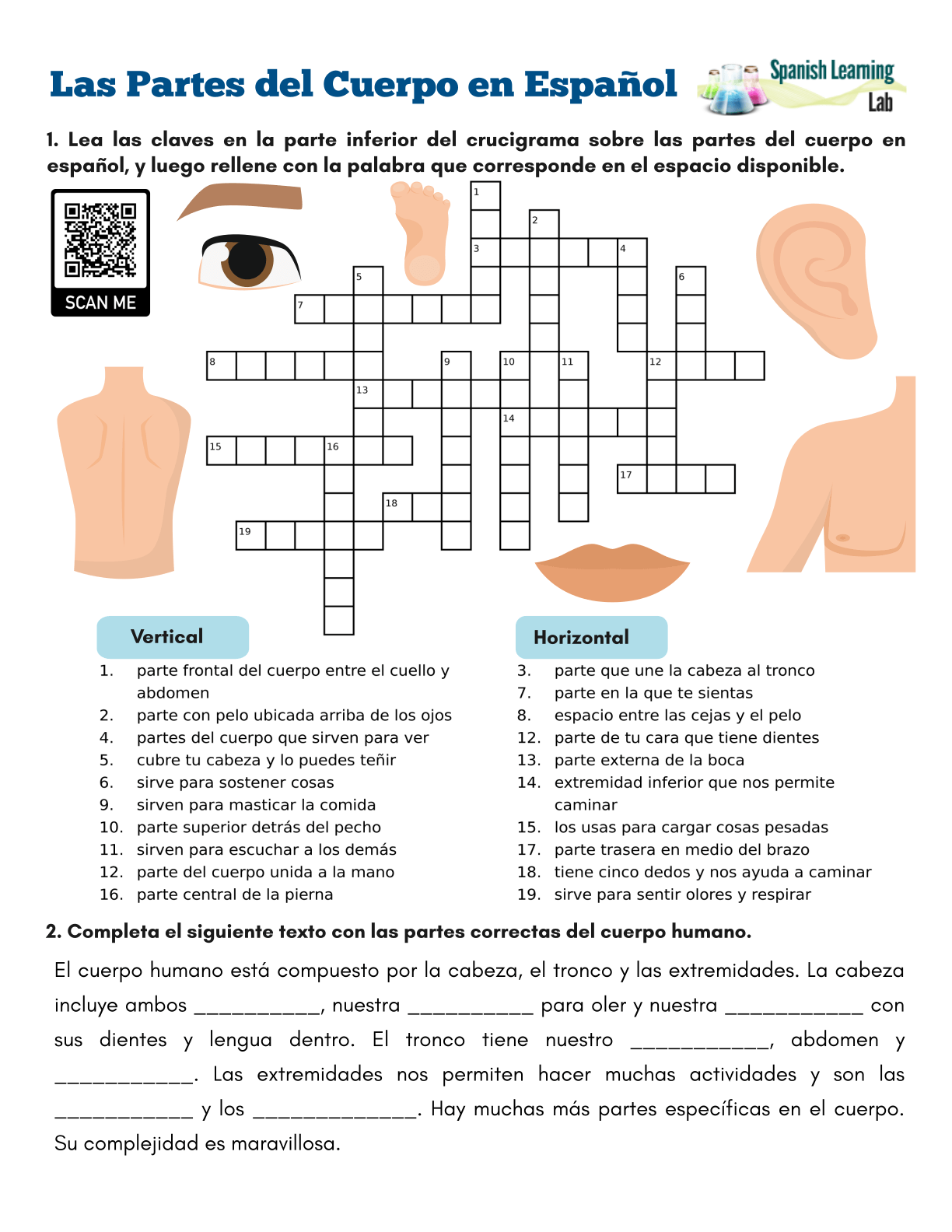 Body Parts English To Spanish Crossword WordMint