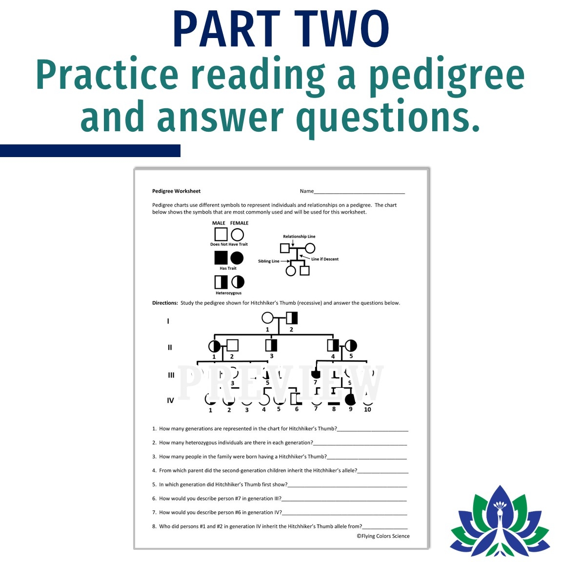 Pedigree Worksheet Flying Colors Science