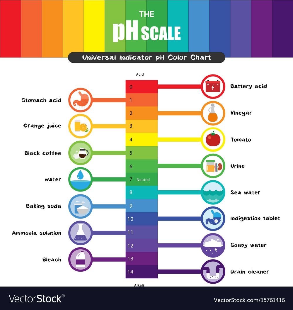 PH Scale Universal Indicator Chart Vector Image On VectorStock PH Scale Universal Indicator Chart Vector Image On VectorStock