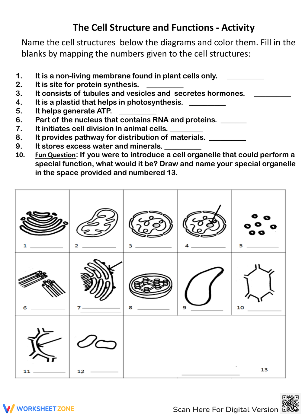 Printable 7th Grade Cell Structure And Function Fill In The Blanks Worksheets Printable 7th Grade Cell Structure And Function Fill In The Blanks Worksheets