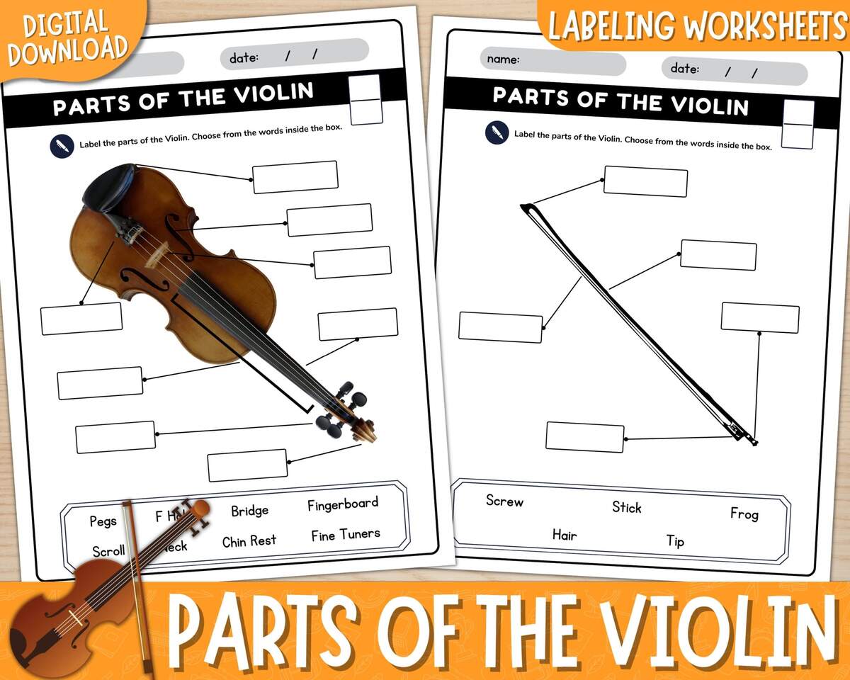 Printable Parts Of The Violin Labeling Worksheets With Answer Keys Violin Diagram Label The Violin Parts Of The Instrument PDF Etsy Hong Kong