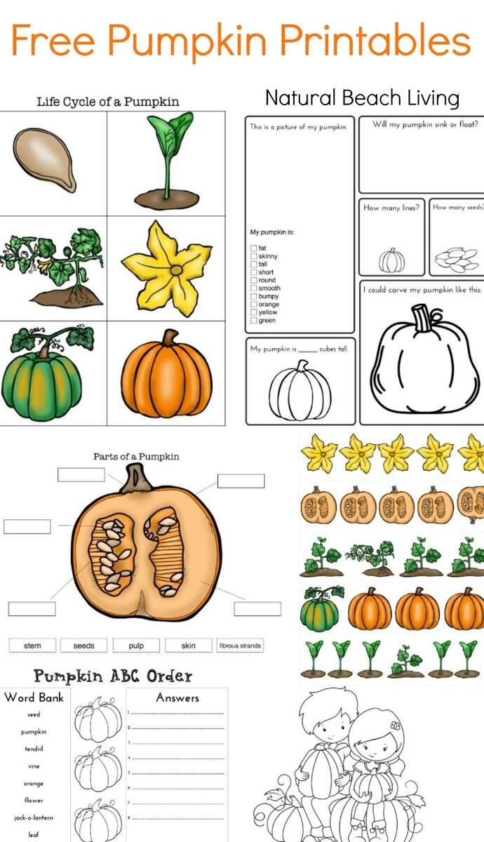 Pumpkin Activities For Kids Pumpkin Lesson Plans STEM Natural Beach Living Biggest And Smallest Pumpkin 2 Worksheets FREE Printable Worksheets Worksheetfun
