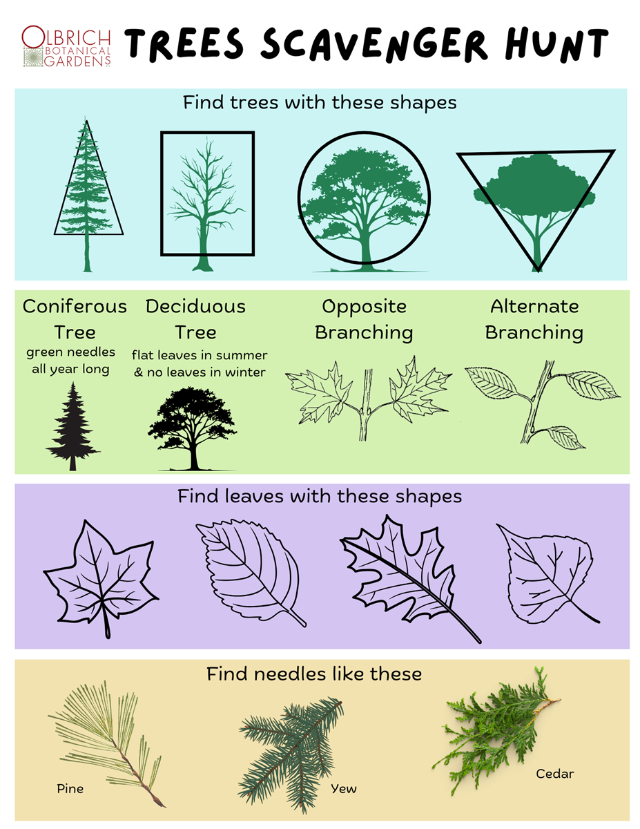 Share A Printable Kids Garden Month Challenge 3 Growing Together Open Forum