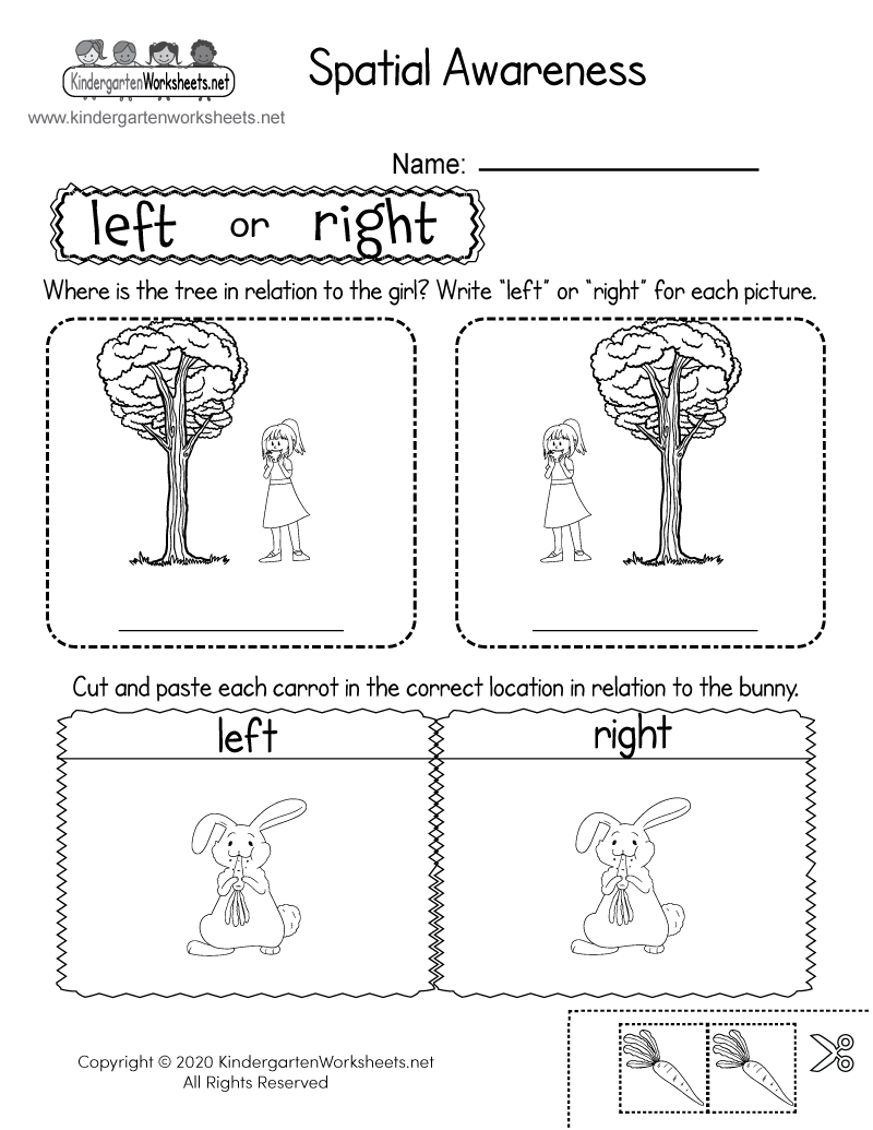 Spatial Awareness Activity