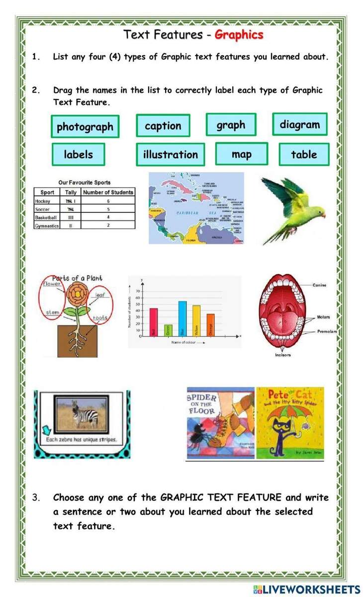 Text Features Graphics Worksheet Worksheets Library Storyboard That Text Features Worksheets For Reading