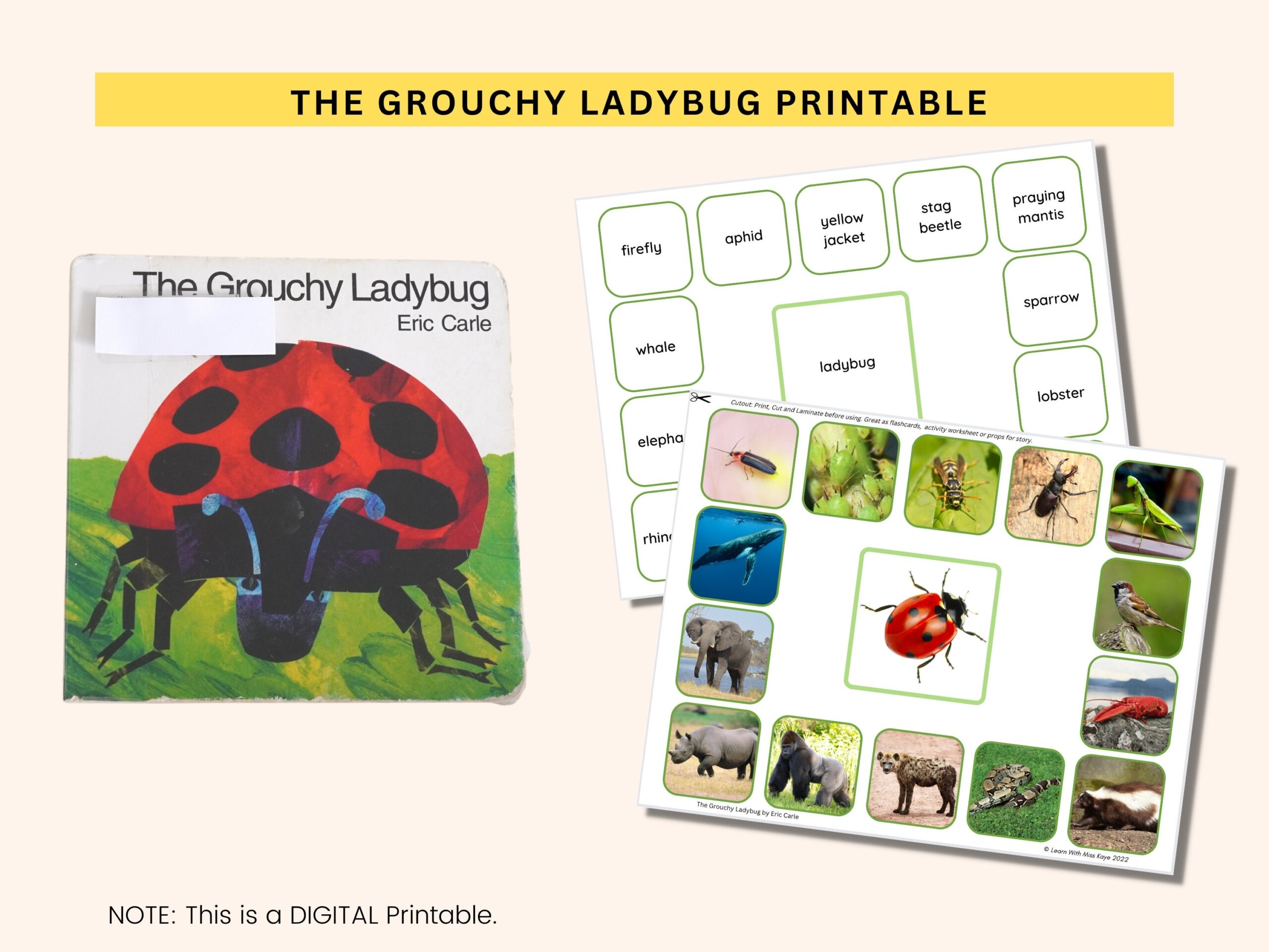 The Grouchy Ladybug Printable Worksheet Eric Carle Activity PDF Etsy