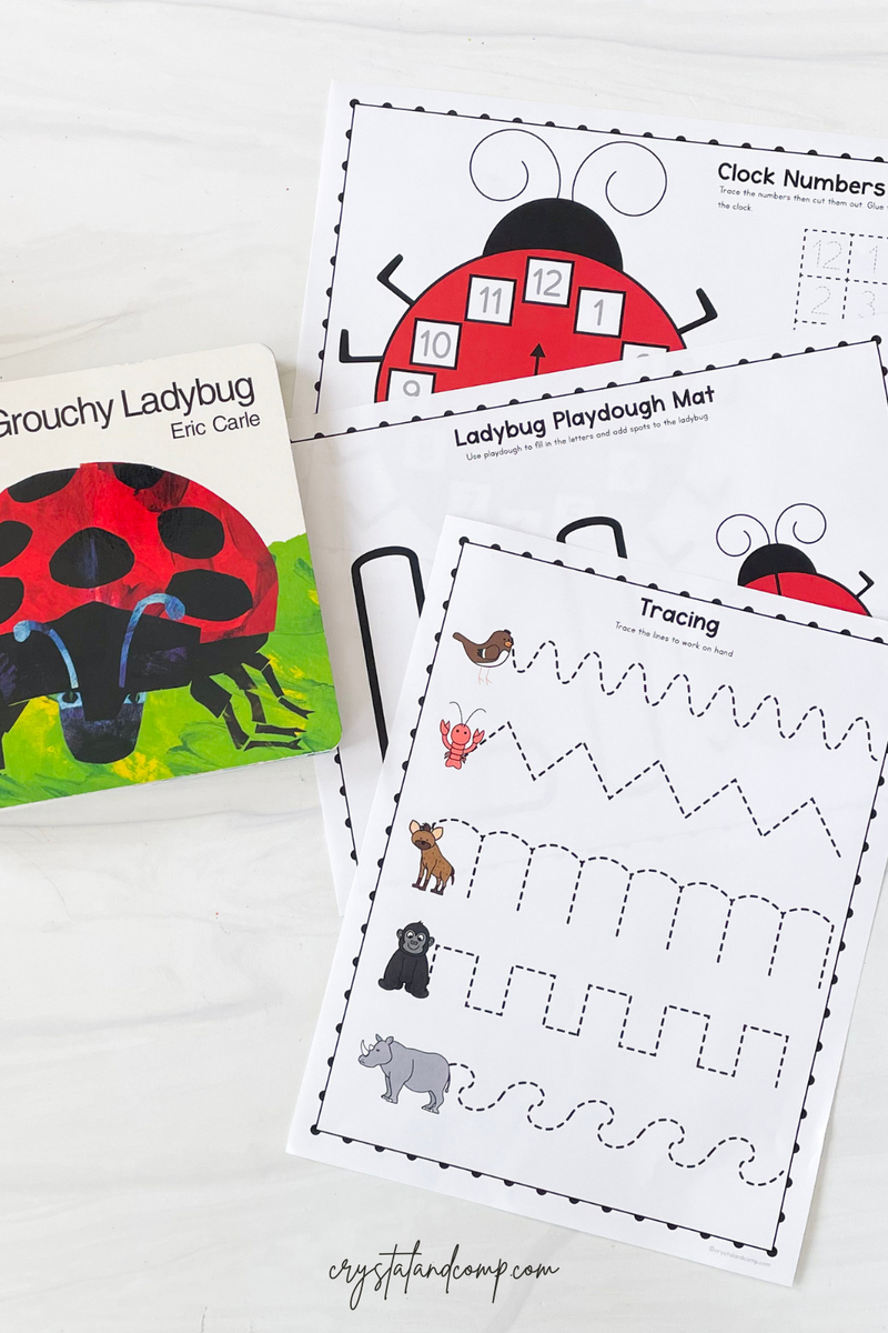 The Grouchy Ladybug Printable Worksheet Eric Carle Activity PDF Etsy