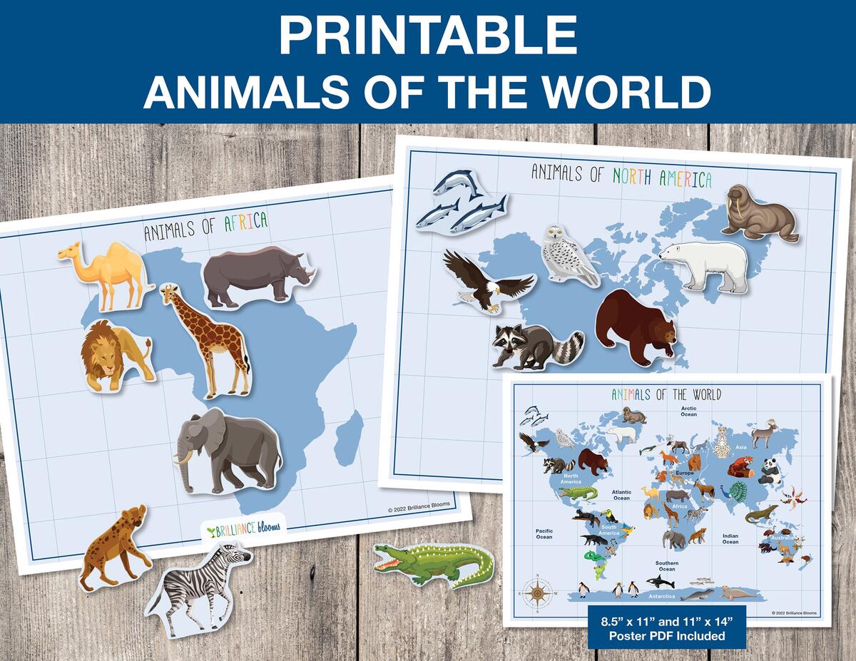 World Animals Animals Of The World World Animals Map Printable Preschool Science Montessori Homeschool Activity INSTANT DOWNLOAD S009 Etsy World Map Worksheet And Coloring Page Bundle Printable World Maps Printable Continents And Oceans Worksheets 7 Continents Worksheet Map Etsy